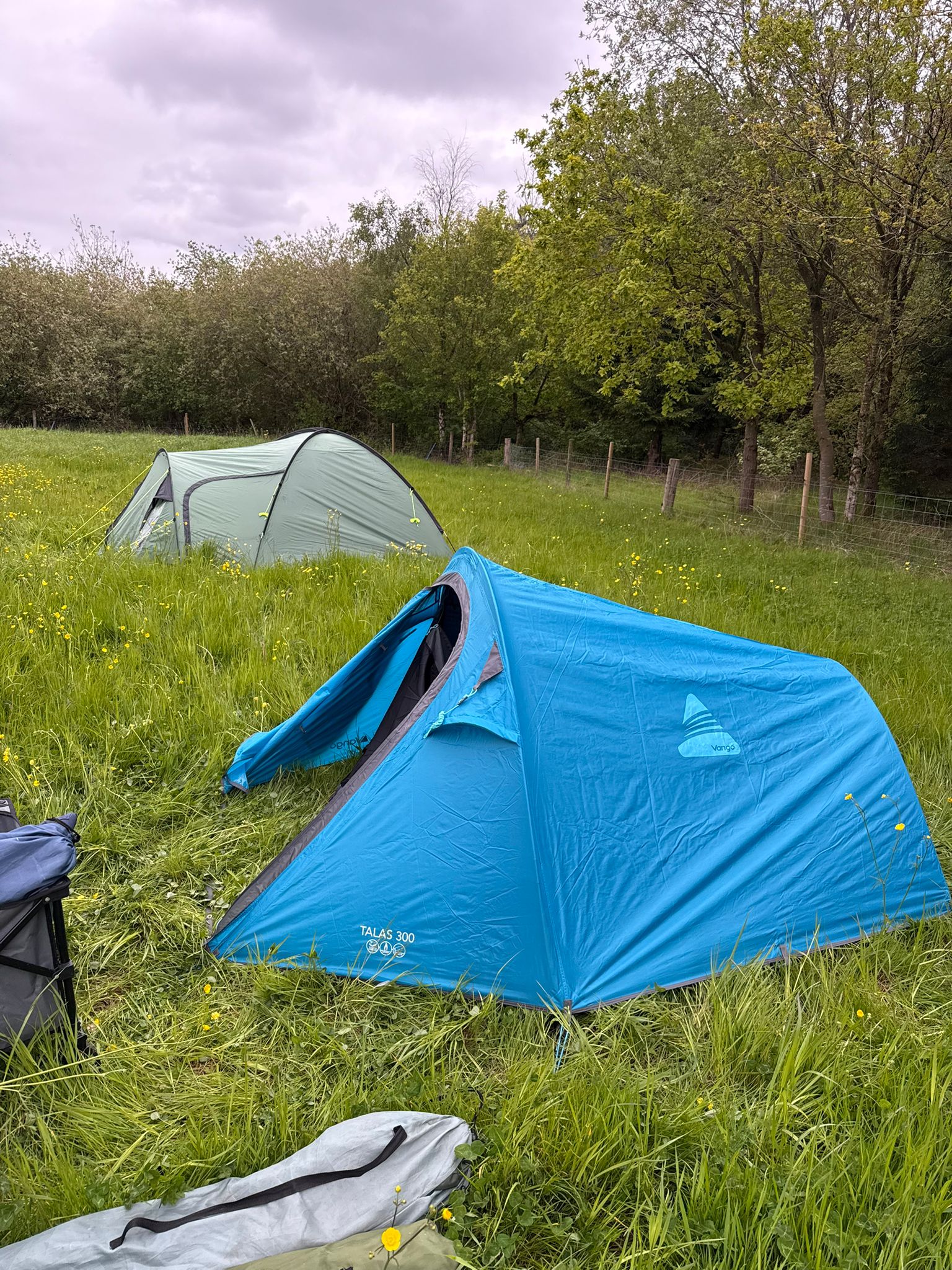 A blue tent pitched in long grass during a Scout camp