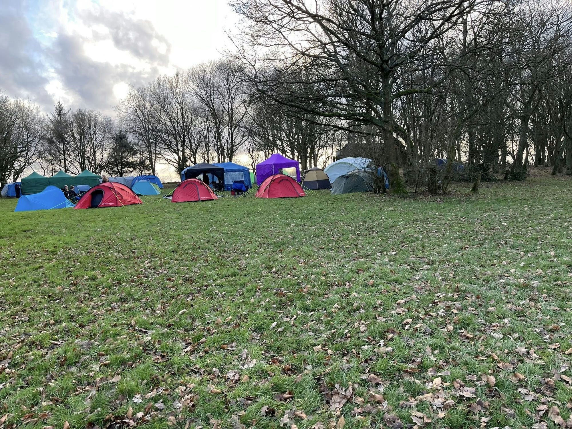 Scout camp tents pitched in a field beside woodland